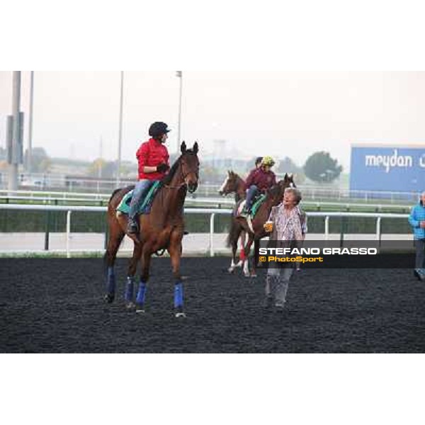 Morning track works - Corine Barande-Barbe and Cirrus des Aigles Dubai - Meydan racecourse,27th march 2014 ph.Stefano Grasso