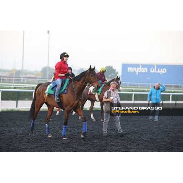 Morning track works - Corine Barande-Barbe and Cirrus des Aigles Dubai - Meydan racecourse,27th march 2014 ph.Stefano Grasso
