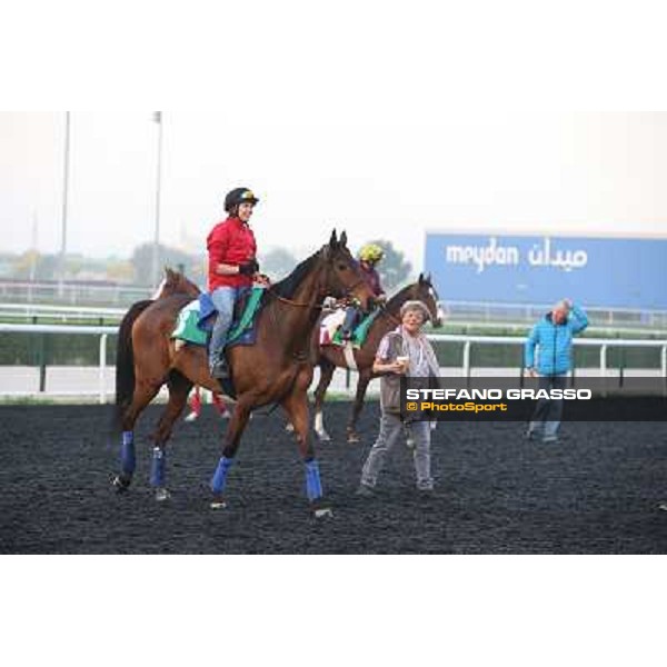 Morning track works - Corine Barande-Barbe and Cirrus des Aigles Dubai - Meydan racecourse,27th march 2014 ph.Stefano Grasso