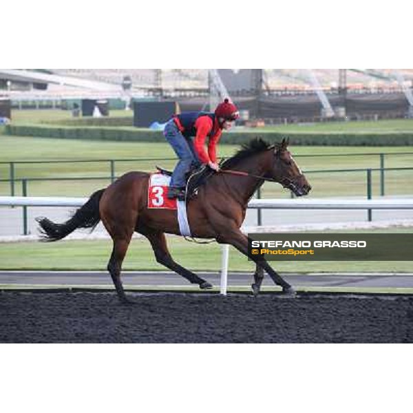 Morning track works - Dabadiyan Dubai - Meydan racecourse,27th march 2014 ph.Stefano Grasso