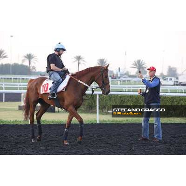 Morning track works - Ed Dunlop picturing Red Cadeaux Dubai - Meydan racecourse,27th march 2014 ph.Stefano Grasso