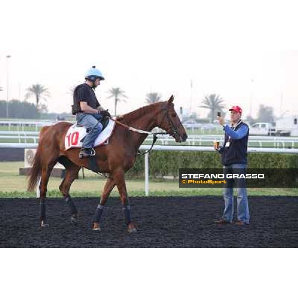 Morning track works - Ed Dunlop picturing Red Cadeaux Dubai - Meydan racecourse,27th march 2014 ph.Stefano Grasso