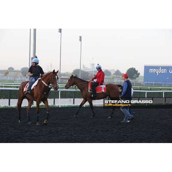 Morning track works - Ed Dunlop with Red Cadeaux and Joshua Tree Dubai - Meydan racecourse,27th march 2014 ph.Stefano Grasso