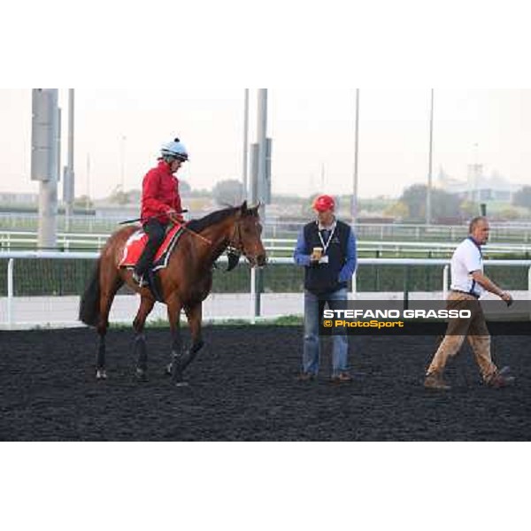 Morning track works - Ed Dunlop with Joshua Tree Dubai - Meydan racecourse,27th march 2014 ph.Stefano Grasso
