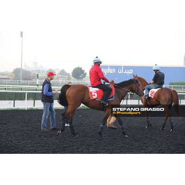 Morning track works - Ed Dunlop with Red Cadeaux and Joshua Tree Dubai - Meydan racecourse,27th march 2014 ph.Stefano Grasso