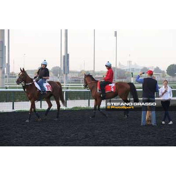 Morning track works - Ed Dunlop with Red Cadeaux and Joshua Tree Dubai - Meydan racecourse,27th march 2014 ph.Stefano Grasso