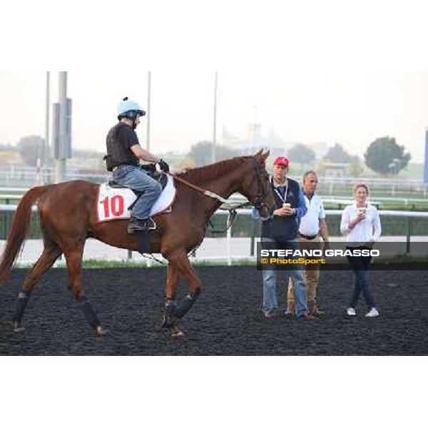 Morning track works - Ed Dunlop with Red Cadeaux Dubai - Meydan racecourse,27th march 2014 ph.Stefano Grasso