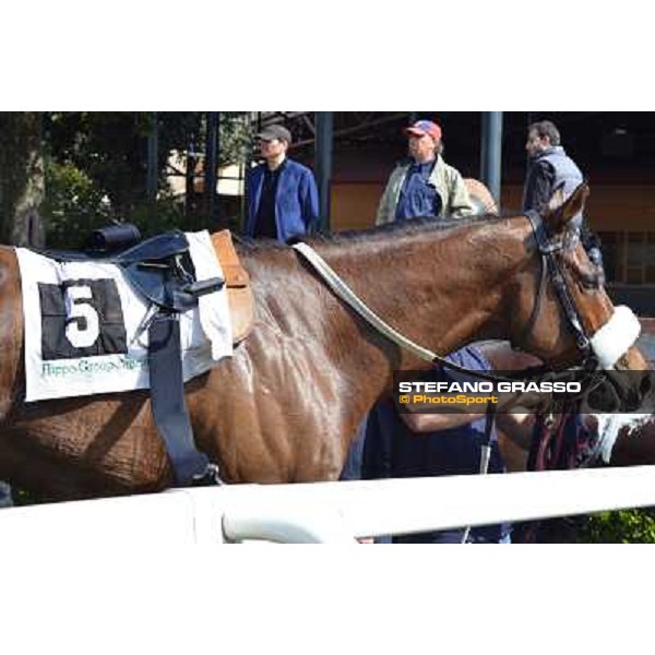 Umberto Rispoli on Regarde Moi wins the Premio Gentlewave, 2nd is Ludovico il Moro Rome, Capannelle racecourse,30th march 2014 ph.Daniele Incollu/Grasso