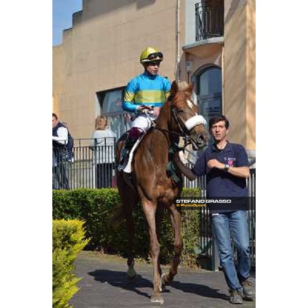 Umberto Rispoli on Scighera wins the Premio Bellni, 2nd is Vallecupa Rome, Capannelle racecourse,30th march 2014 ph.Daniele Incollu/Grasso