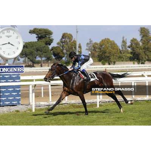 Mario Esposito on Big Bradon wins the Premio Enio Roma - Capannelle racecourse,1st april 2014 ph.Domenico Savi/Grasso