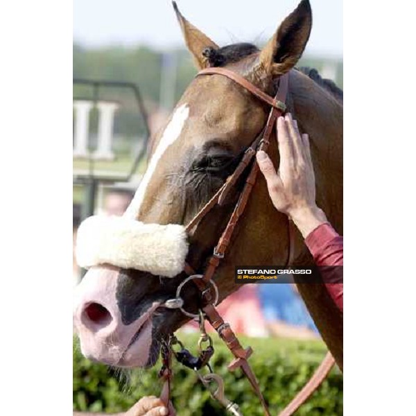close up for Electrocutionist Milano, San Siro 19th june 2005 ph. Stefano Grasso