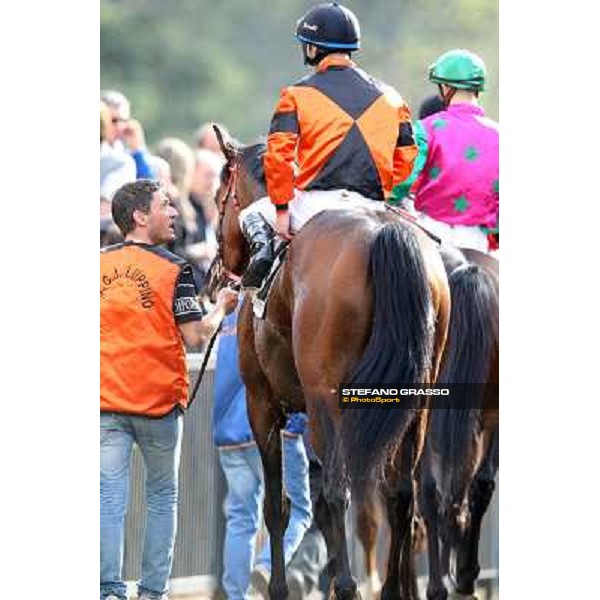 Pasquale Borrelli on Mr Gotham wins the Premio Circo Massimo Roma - Capannelle racecourse,6th april 2014 ph.Stefano Grasso
