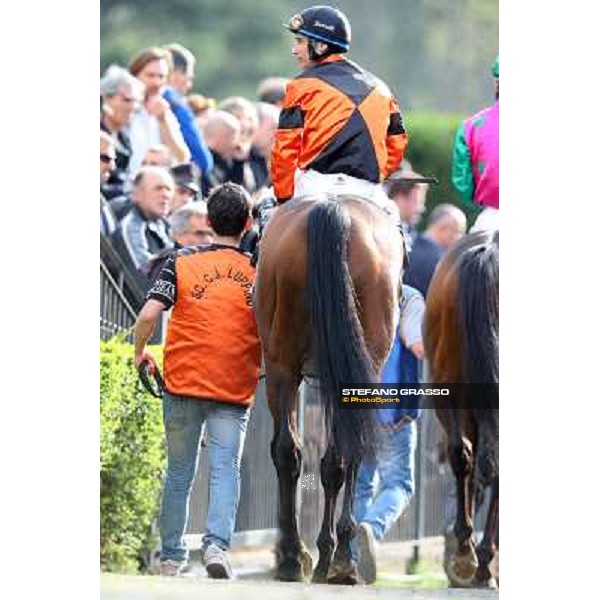 Pasquale Borrelli on Mr Gotham wins the Premio Circo Massimo Roma - Capannelle racecourse,6th april 2014 ph.Stefano Grasso