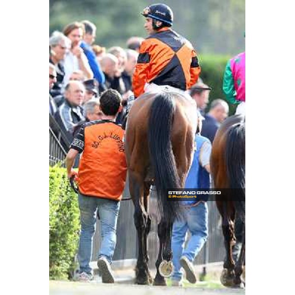 Pasquale Borrelli on Mr Gotham wins the Premio Circo Massimo Roma - Capannelle racecourse,6th april 2014 ph.Stefano Grasso