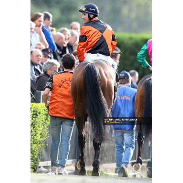 Pasquale Borrelli on Mr Gotham wins the Premio Circo Massimo Roma - Capannelle racecourse,6th april 2014 ph.Stefano Grasso