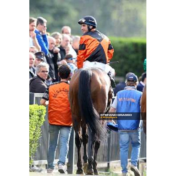 Pasquale Borrelli on Mr Gotham wins the Premio Circo Massimo Roma - Capannelle racecourse,6th april 2014 ph.Stefano Grasso