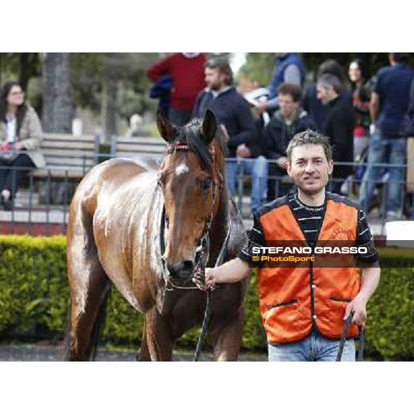 Mr Gotham after winning the Premio Circo Massimo Roma - Capannelle racecourse,6th april 2014 ph.Stefano Grasso