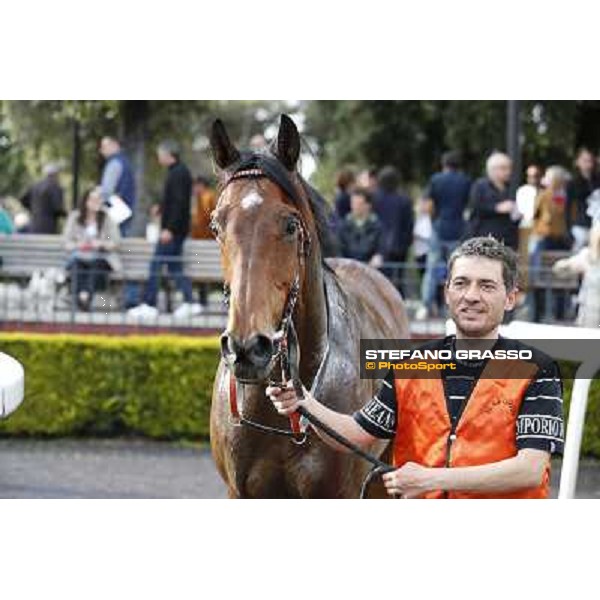 Mr Gotham after winning the Premio Circo Massimo Roma - Capannelle racecourse,6th april 2014 ph.Stefano Grasso
