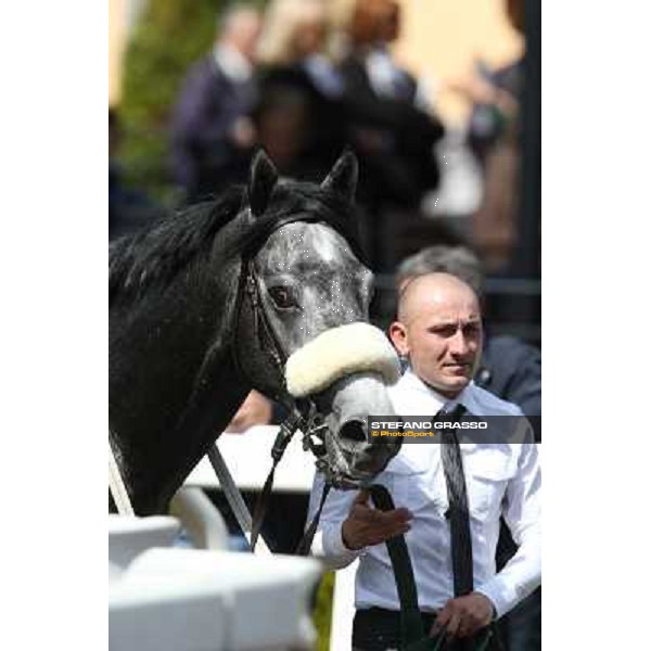 Freedom Holder Roma - Capannelle racecourse,6th april 2014 ph.Stefano Grasso