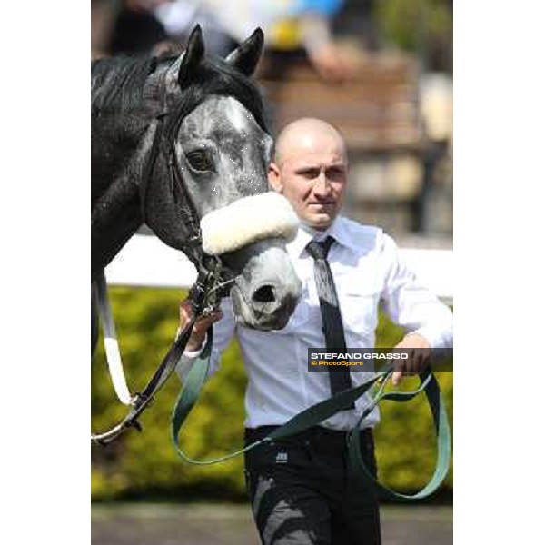 Freedom Holder Roma - Capannelle racecourse,6th april 2014 ph.Stefano Grasso