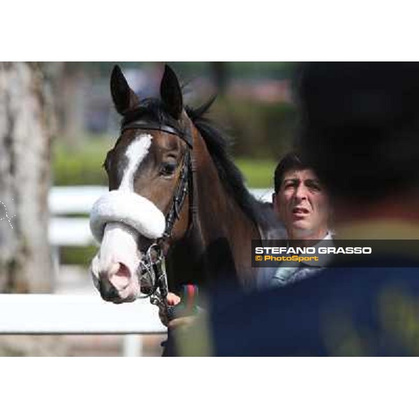 Donna Prassede Roma - Capannelle racecourse,6th april 2014 ph.Stefano Grasso