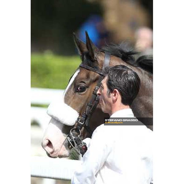 Donna Prassede Roma - Capannelle racecourse,6th april 2014 ph.Stefano Grasso