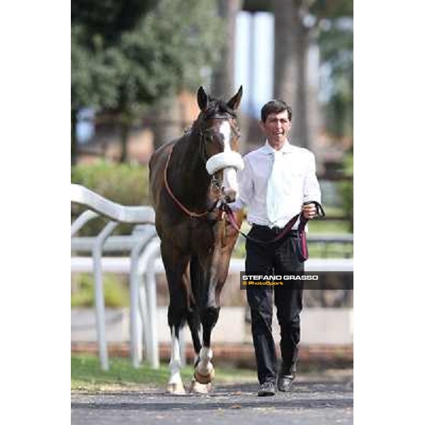 Donna Prassede Roma - Capannelle racecourse,6th april 2014 ph.Stefano Grasso