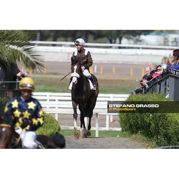 Cristian Demuro on Donna Prassede after winning the Premio Torricola Roma - Capannelle racecourse,6th april 2014 ph.Stefano Grasso