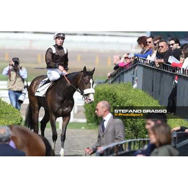 Cristian Demuro on Donna Prassede after winning the Premio Torricola Roma - Capannelle racecourse,6th april 2014 ph.Stefano Grasso