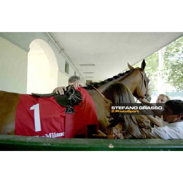 Cristiana Brivio Sforza and Valfredo Valiani prepares Electrocutionist for the Gran Premio Milano Milano San Siro 19th june 2005 ph. Stefano Grasso