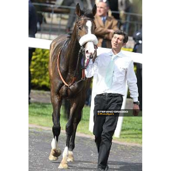 Donna Prassede after winning the Premio Torricola Roma - Capannelle racecourse,6th april 2014 ph.Stefano Grasso