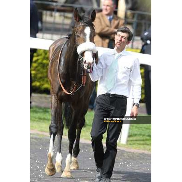 Donna Prassede after winning the Premio Torricola Roma - Capannelle racecourse,6th april 2014 ph.Stefano Grasso
