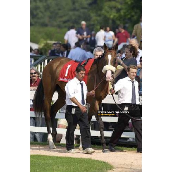 Electrocutionist in the parade ring of Gran Premio Milano Milano San Siro 19th june 2005 ph. Stefano Grasso