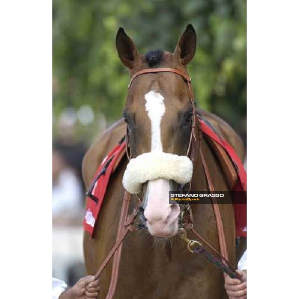 close up for Electrocutionist Milano San Siro 19th june 2005 ph. Stefano Grasso