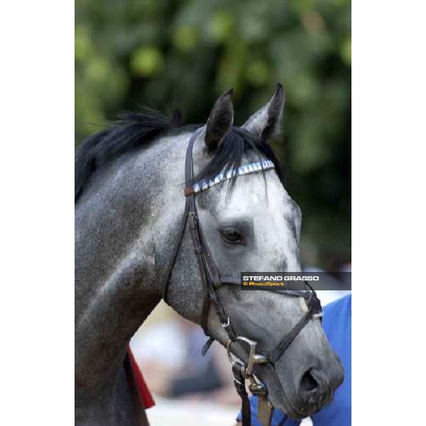 close up for Vol de Nuit Milano San Siro 19th june 2005 ph. Stefano Grasso