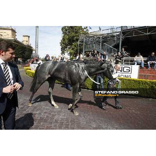 Stefano Botti and Freedom Holder Roma - Capannelle racecourse,6th april 2014 ph.Stefano Grasso