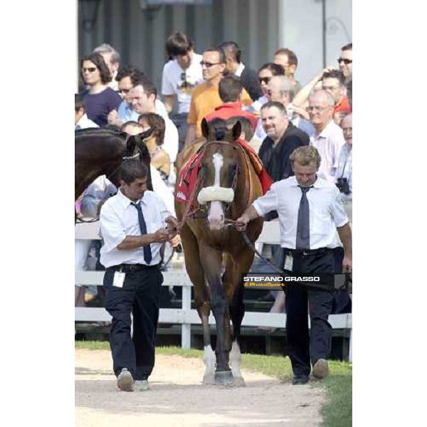 Electrocutionist in the parade ring of Gran Premio Milano Milano San Siro 19th june 2005 ph. Stefano Grasso