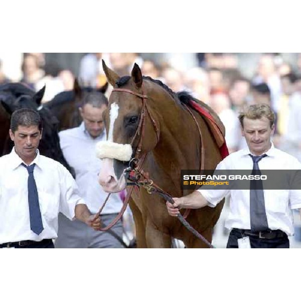 Electrocutionist in the parade ring of Gran Premio Milano Milano San Siro 19th june 2005 ph. Stefano Grasso