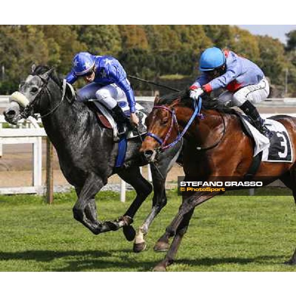 Cristian Demuro on Freedom Holder wins the Premio Daumier - Mem.Marco Rinaldi Roma - Capannelle racecourse,6th april 2014 ph.Domenico Savi/Grasso