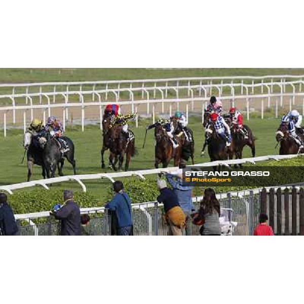 Samuele Diana on Adsense wins the Premio Cloridano - 2nd is Fois on Jolly of Naytiri Roma - Capannelle racecourse,6th april 2014 ph.Domenico Savi/Grasso
