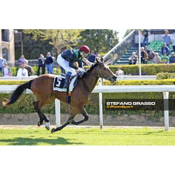 Giampasquale Fois on Spread wins the Premio Bold Fascination Rome, 11th april 2014 ph.Domenico Savi/Grasso