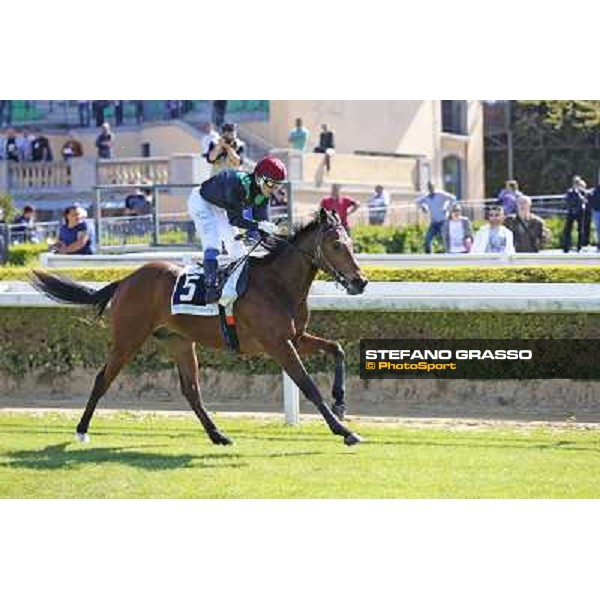 Giampasquale Fois on Spread wins the Premio Bold Fascination Rome, Capannelle racecourse,11th april 2014 ph.Domenico Savi/Grasso