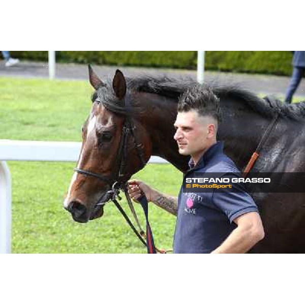 Fantastic Horse Rome, Capannelle racecourse 13th april 2014 ph.Stefano Grasso