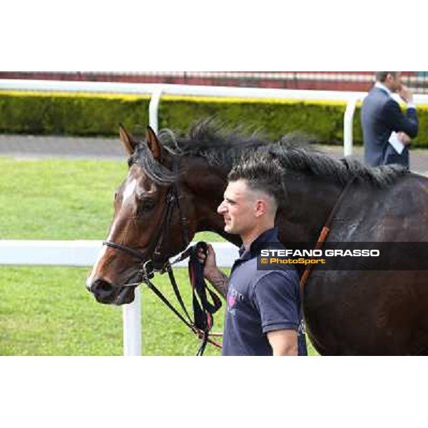 Fantastic Horse Rome, Capannelle racecourse 13th april 2014 ph.Stefano Grasso