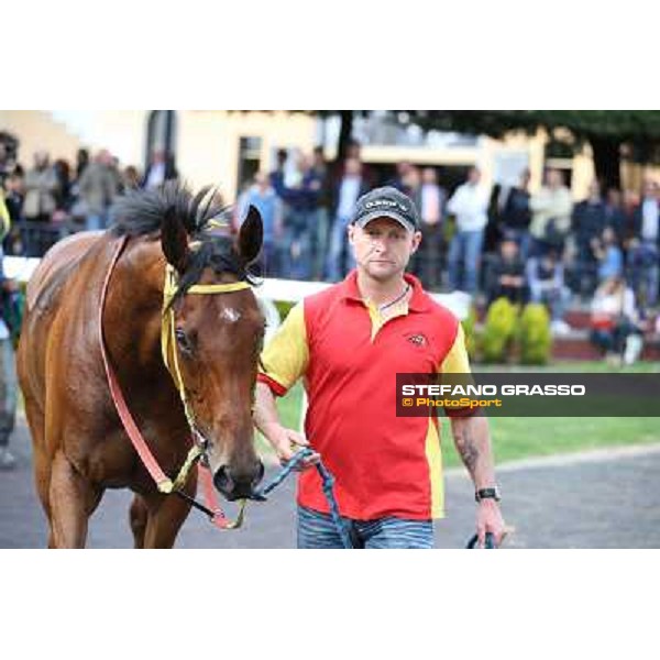 Clorofilla parades after winning the Premio Carlo Chiesa Rome, Capannelle racecourse 13th april 2014 ph.Stefano Grasso