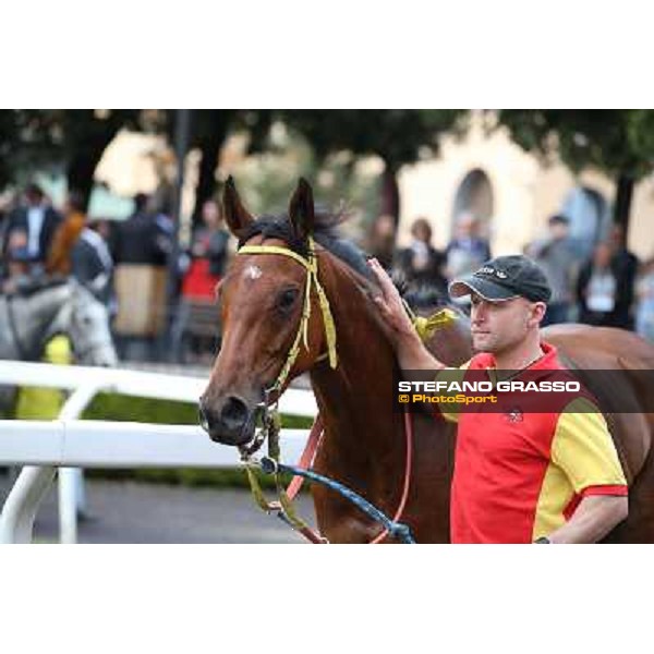 Clorofilla parades after winning the Premio Carlo Chiesa Rome, Capannelle racecourse 13th april 2014 ph.Stefano Grasso