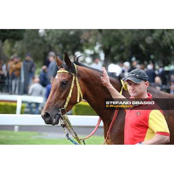 Clorofilla parades after winning the Premio Carlo Chiesa Rome, Capannelle racecourse 13th april 2014 ph.Stefano Grasso
