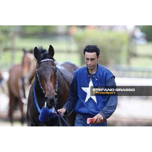 Coccione Rome, Capannelle racecourse 13th april 2014 ph.Stefano Grasso