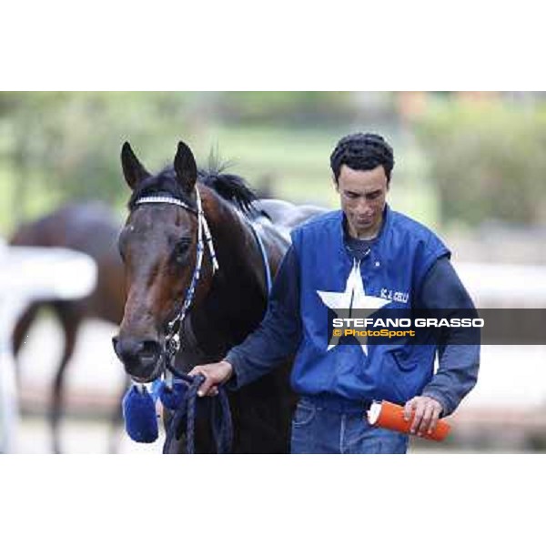 Coccione Rome, Capannelle racecourse 13th april 2014 ph.Stefano Grasso