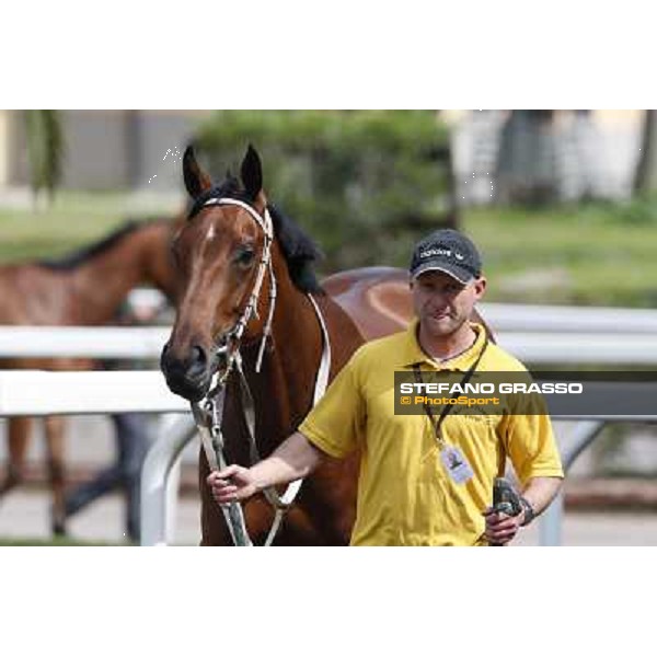 Obade before winning the Premio Lorenzo Camuffo Rome, Capannelle racecourse 13th april 2014 ph.Stefano Grasso
